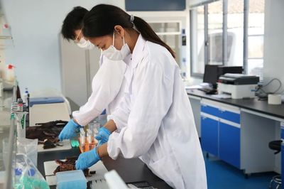 紹興三項目榮登首批‘浙里食安’示范市縣名單，互聯(lián)網(wǎng)數(shù)據(jù)服務賦能食品安全監(jiān)管