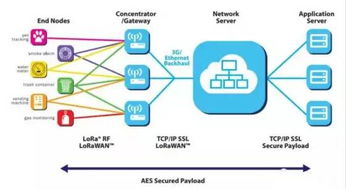 LoRaWAN 讓萬(wàn)物互聯(lián)的“隱形橋梁”與其在互聯(lián)網(wǎng)數(shù)據(jù)服務(wù)中的關(guān)鍵角色