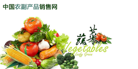 中國農(nóng)副產(chǎn)品銷售網(wǎng)